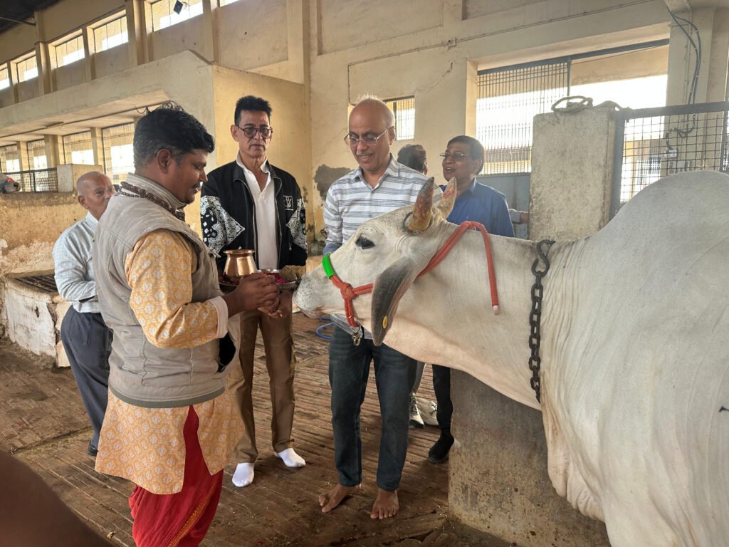 Bhilwara : प्रवासी गो भक्तों ने माधव गौशाला में लापसी खिला की गौसेवा, गोबर गैस प्लांट की सराहना