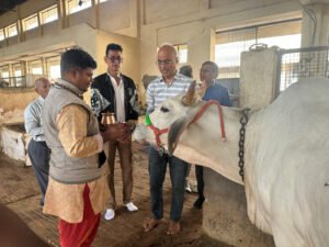 Bhilwara : प्रवासी गो भक्तों ने माधव गौशाला में लापसी खिला की गौसेवा, गोबर गैस प्लांट की सराहना