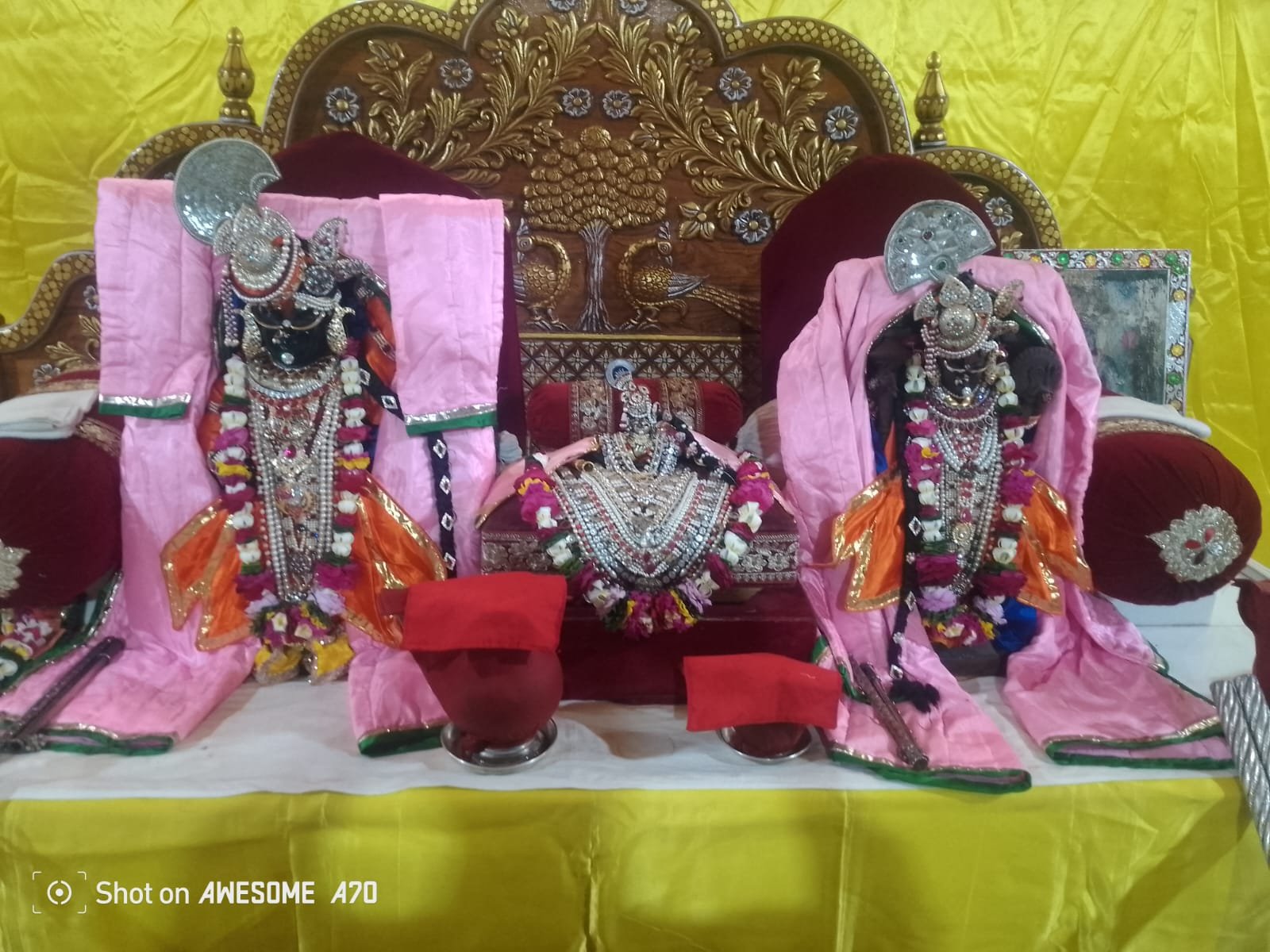 Bhilwara : आनंदधाम मंदिर का 7वां पाटोत्सव 28 से, तैयारियां शुरू