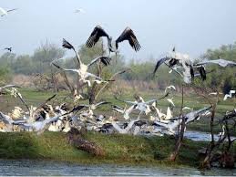 वेट लैंड पर पक्षी विहार केंद्र, मातृ-शिशु अस्पताल एवं सिवरेज ट्रीटमेंट प्लांट बनाए जाने की मांग