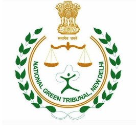Bhilwara : एनजीटी ने 8.5 लाख पेड़ नहीं लगाने के मामले में सख्त रुख अपनाया