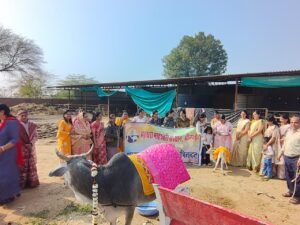 Bhilwara : मरुधरा माहेश्वरी संस्थान ने श्री कृष्ण गौ सेवा उपचार केंद्र पर की गौ सेवा