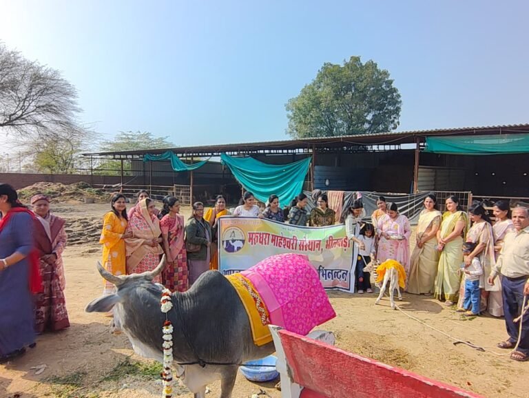 Bhilwara : मरुधरा माहेश्वरी संस्थान ने श्री कृष्ण गौ सेवा उपचार केंद्र पर की गौ सेवा