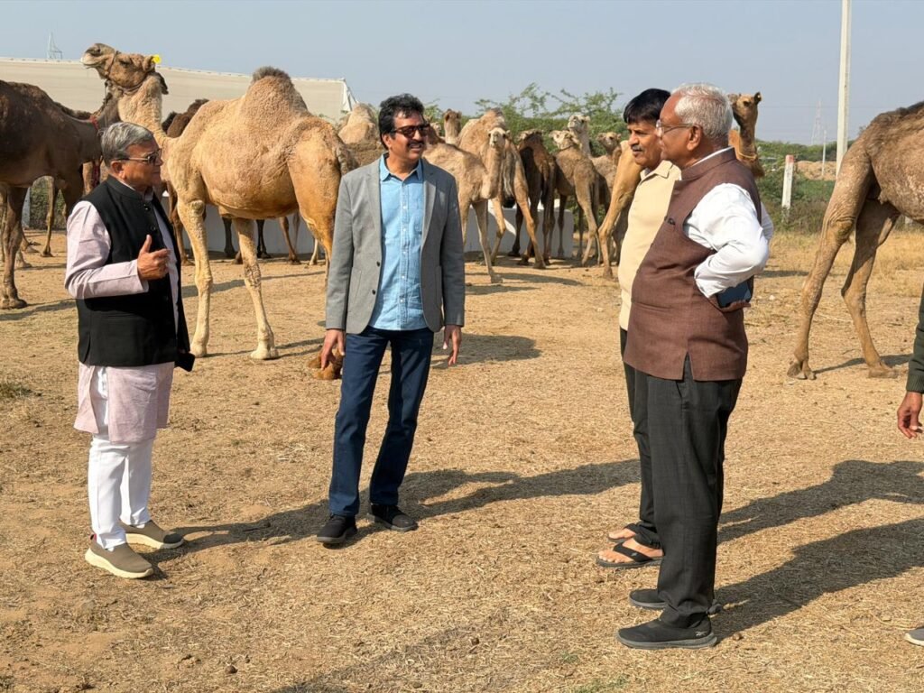 Bhilwara : संकटग्रस्त राज्य पशु ऊँट के संरक्षण पर सरकार गंभीर हो, उठाए कोई ठोस और प्रभावी कदम