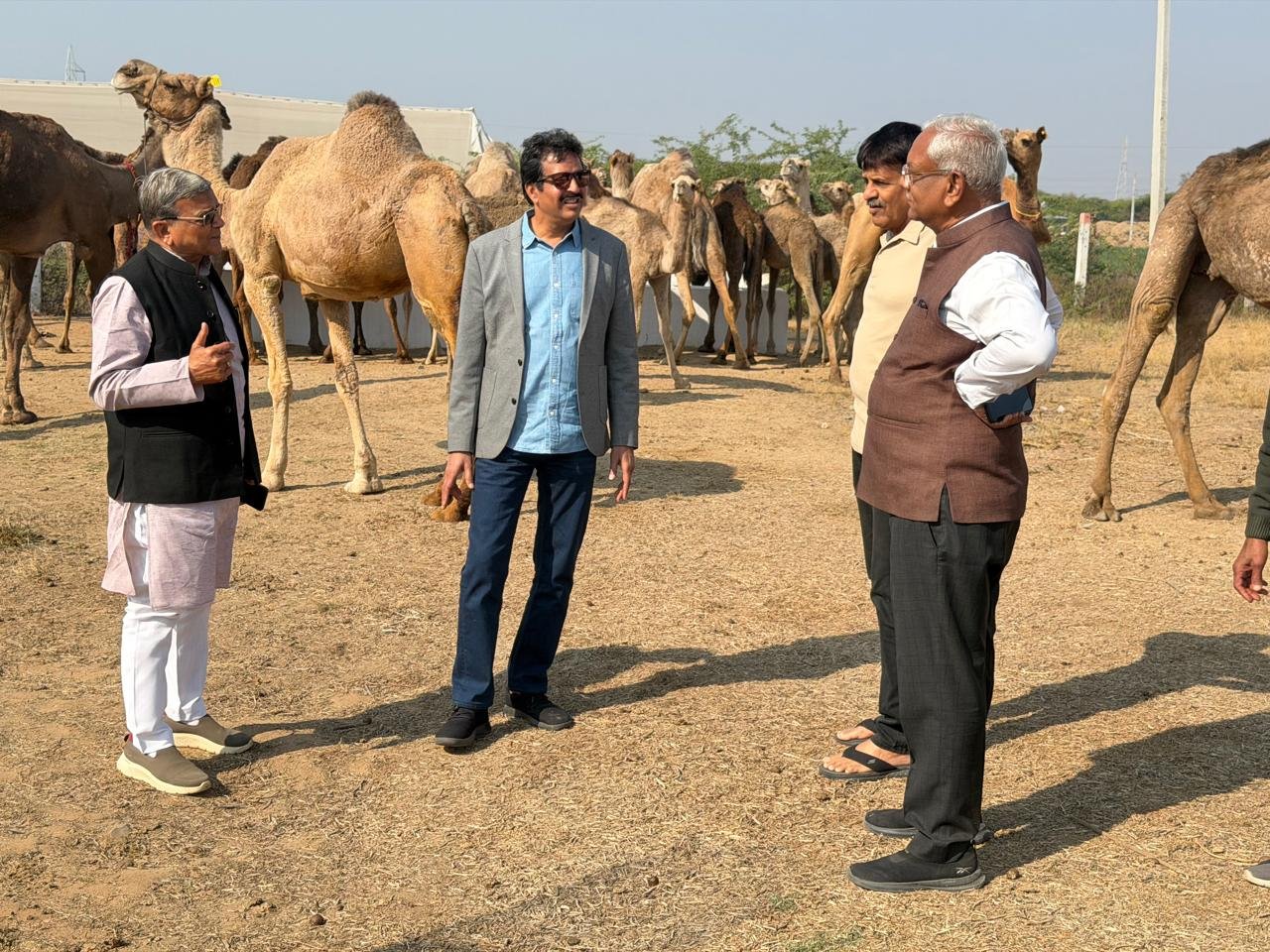 Bhilwara : संकटग्रस्त राज्य पशु ऊँट के संरक्षण पर सरकार गंभीर हो, उठाए कोई ठोस और प्रभावी कदम