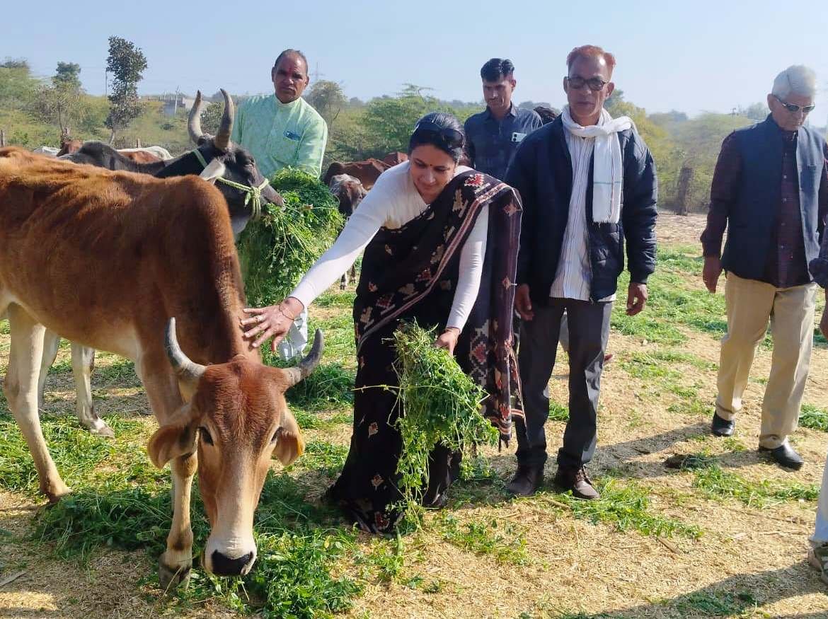 Bhilwara : पूर्व विधायक विवेक की जयंती पर दो दिवसीय परोपकार सेवा कार्य का शुभारंभ 