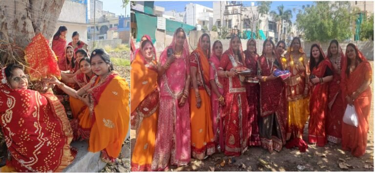 Bhilwara : महिलाओं ने घर की दशा सुधारने के लिए दशा माता की पूजा कर रखा व्रत