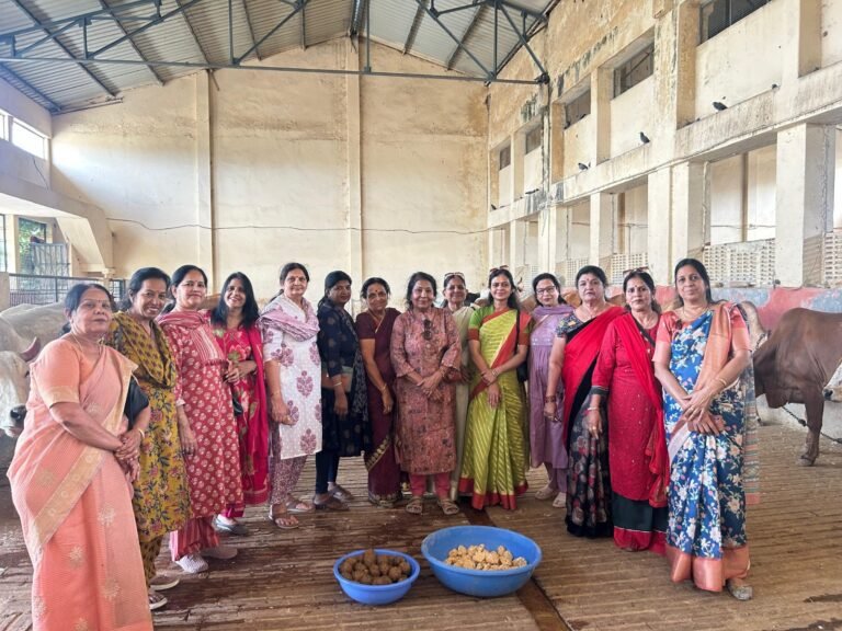 Bhilwara : जैन दिवाकर महिला मंडल द्वारा माधव गौशाला में गौ सेवा, गौ माता को खिलाई लापसी, गुड़, व हरा चारा