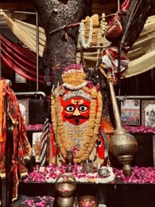 Bhilwara : 751 किलो लाल मिर्च से दहकेगी यज्ञ की ज्वाला, शत्रु बाधा निवारण के लिए होगा महायज्ञ