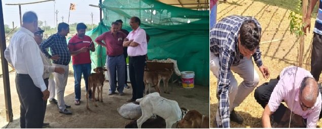 Bhilwara : भाविप विवेकानंद शाखा ने शहर से लेकर ग्रामीण अंचलों तक सेवा कार्यों की सरिता बहाई
