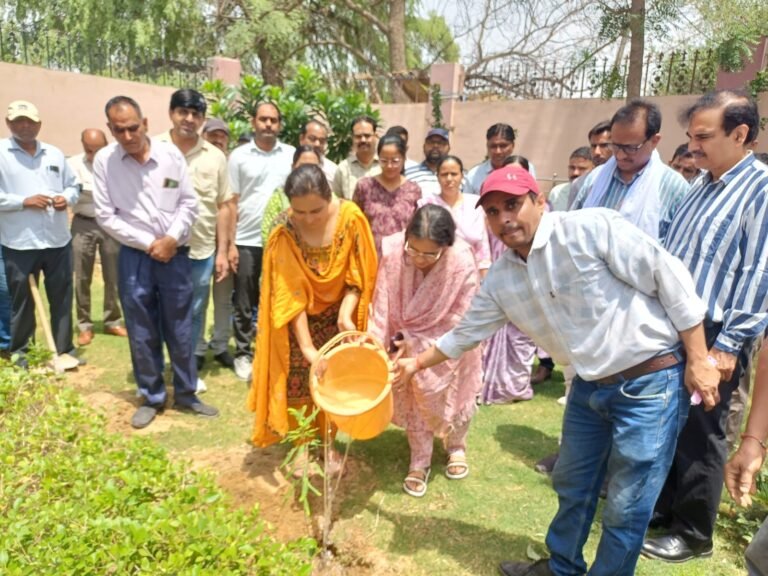 Bikaner : विश्व पर्यावरण दिवस पर जिला परिषद परिसर में हुआ वृक्षारोपण
