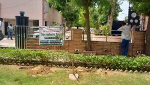 Bikaner : विश्व पर्यावरण दिवस पर जिला परिषद परिसर में हुआ वृक्षारोपण